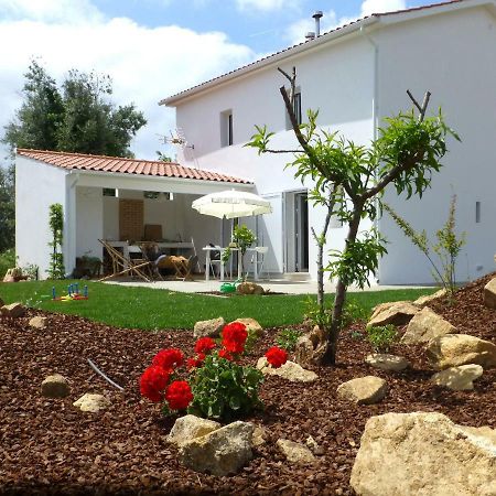 Casa Do Olival Villa Figueiro Dos Vinhos Dış mekan fotoğraf