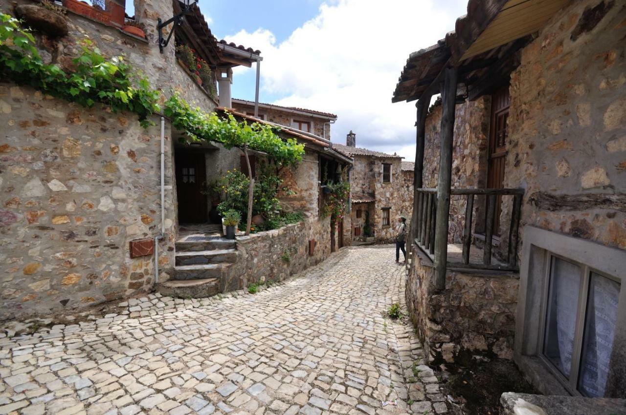 Casa Do Olival Villa Figueiro Dos Vinhos Dış mekan fotoğraf