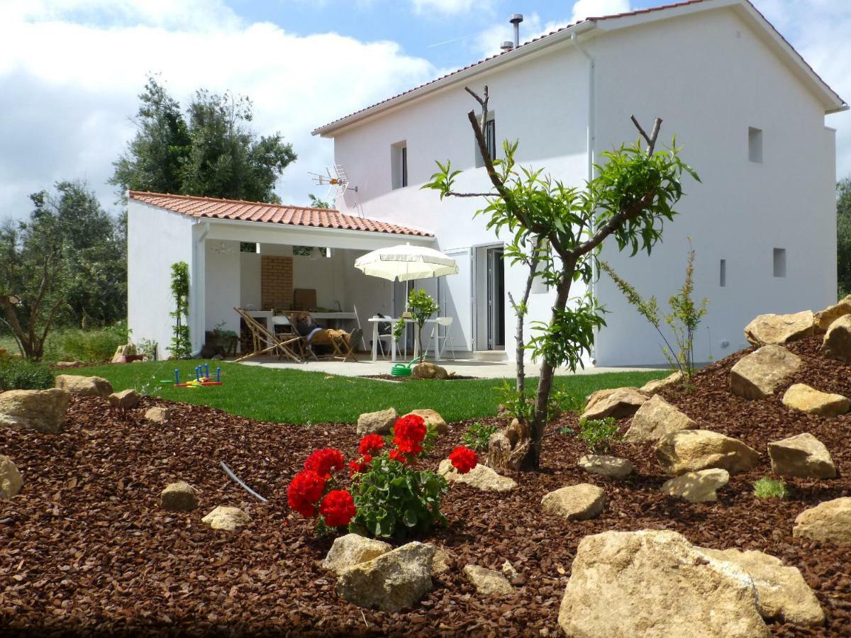 Casa Do Olival Villa Figueiro Dos Vinhos Dış mekan fotoğraf