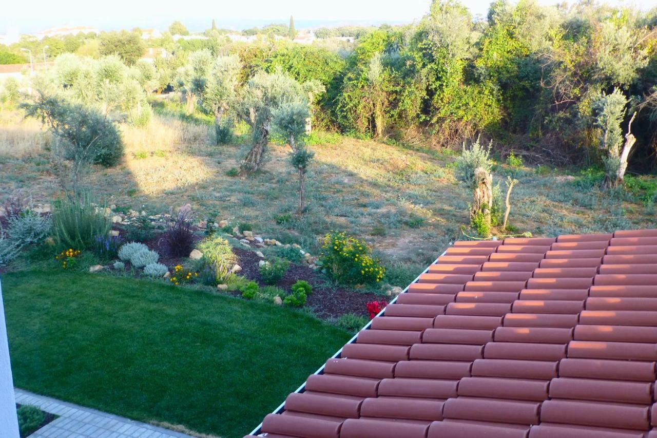 Casa Do Olival Villa Figueiro Dos Vinhos Dış mekan fotoğraf