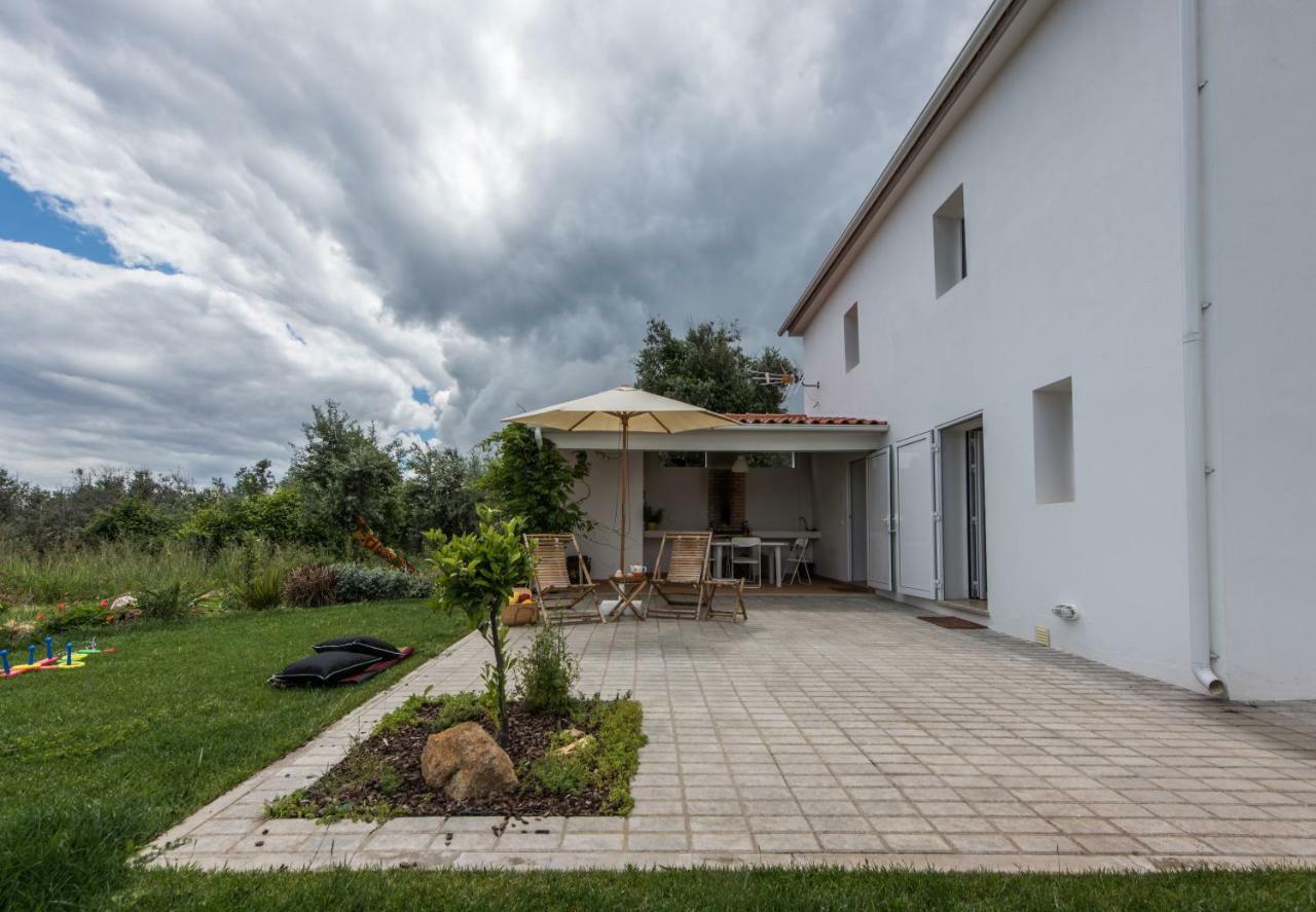 Casa Do Olival Villa Figueiro Dos Vinhos Dış mekan fotoğraf