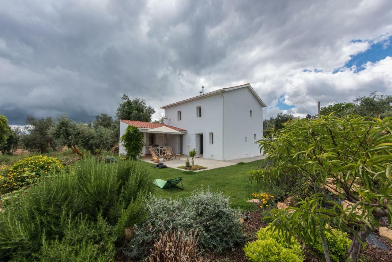 Casa Do Olival Villa Figueiro Dos Vinhos Dış mekan fotoğraf