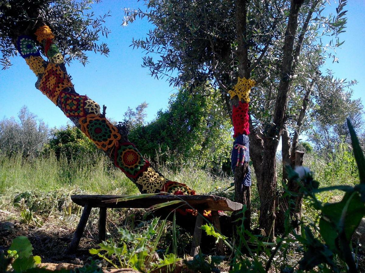 Casa Do Olival Villa Figueiro Dos Vinhos Dış mekan fotoğraf